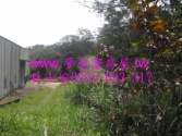 桃園市龍潭區★★★龍潭科技園區農地★☆農地 桃園市龍潭區★★★龍潭科技園區農地★☆農地
