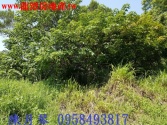 桃園市龍潭區龍潭國小旁建地建地 桃園市龍潭區龍潭國小旁建地建地