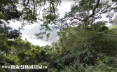 桃園市龍潭區石門山美建地建地 桃園市龍潭區石門山美建地建地