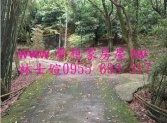 桃園市龍潭區★★★龍潭八張犁農地★☆農地 桃園市龍潭區★★★龍潭八張犁農地★☆農地