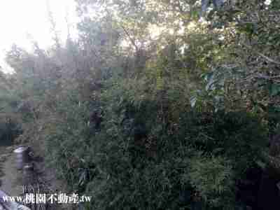 桃園市龍潭區龍潭區銅鑼圈段丙建+特地用地 建地 桃園市龍潭區龍潭區銅鑼圈段丙建+特地用地 建地