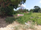 桃園市龍潭區龍潭高爾夫球甲建600坪建地 桃園市龍潭區龍潭高爾夫球甲建600坪建地