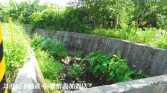 桃園市龍潭區德龍國小美農地《13-132、136》農地 桃園市龍潭區德龍國小美農地《13-132、136》農地